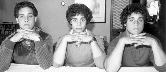 Overview of the Minnesota Study of Twins Reared Apart