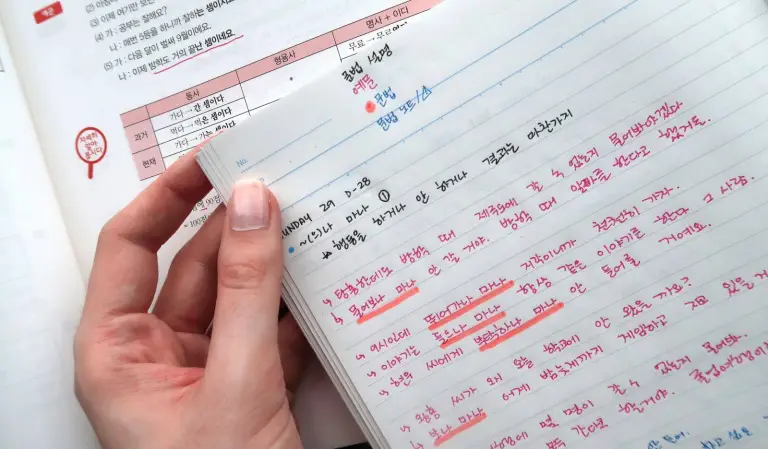 How to study korean